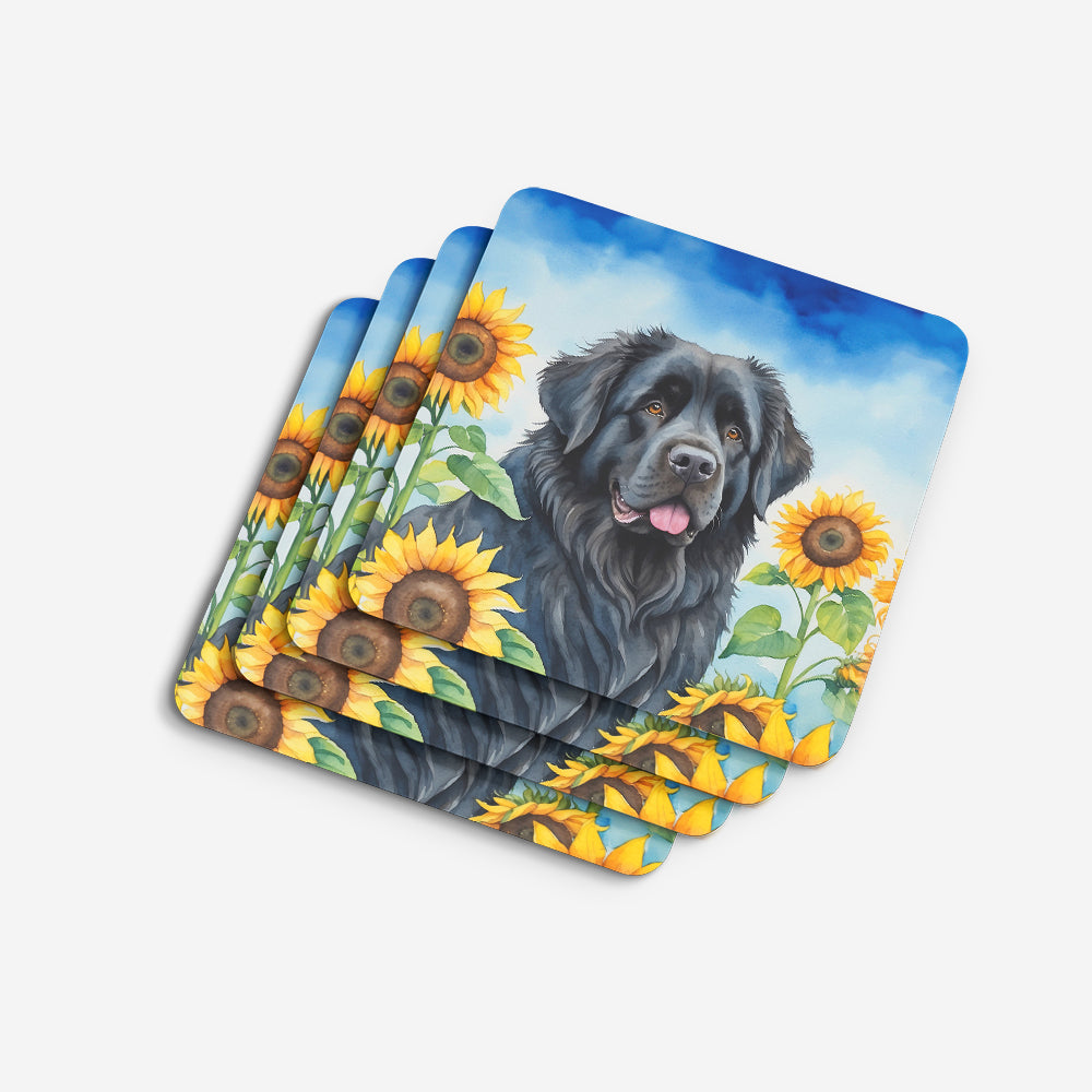Newfoundland in Sunflowers Foam Coasters