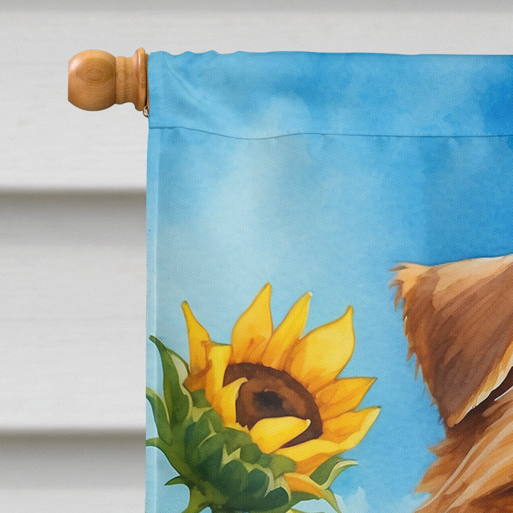 Norfolk Terrier in Sunflowers House Flag