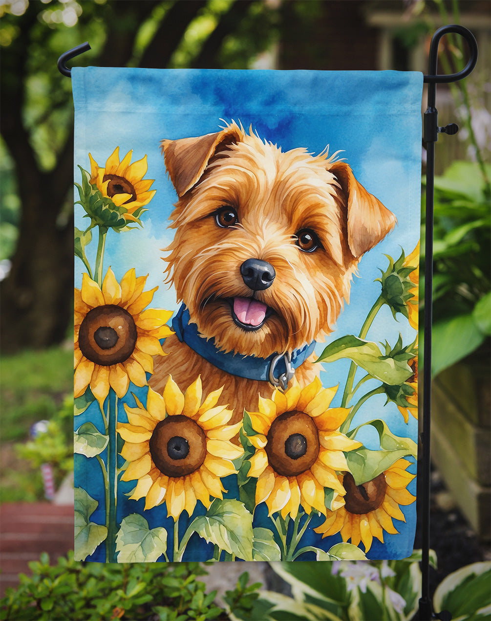 Norfolk Terrier in Sunflowers Garden Flag