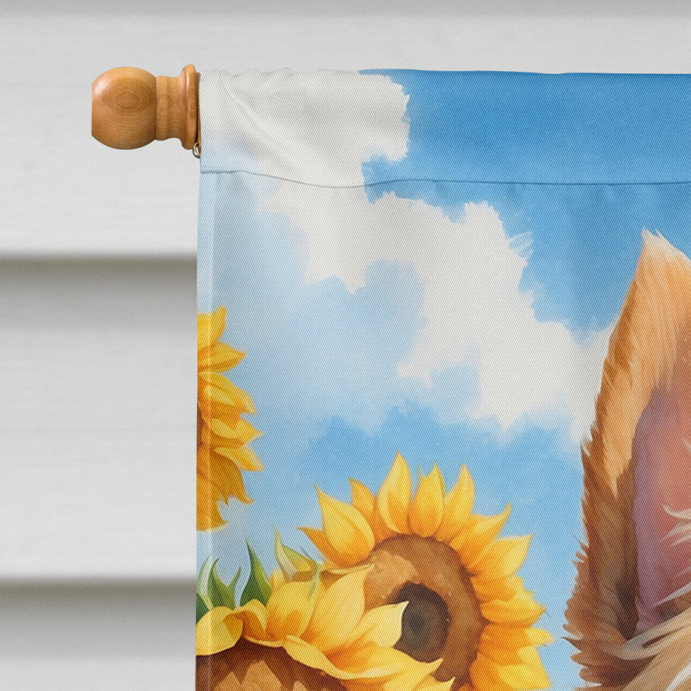 Norwich Terrier in Sunflowers House Flag