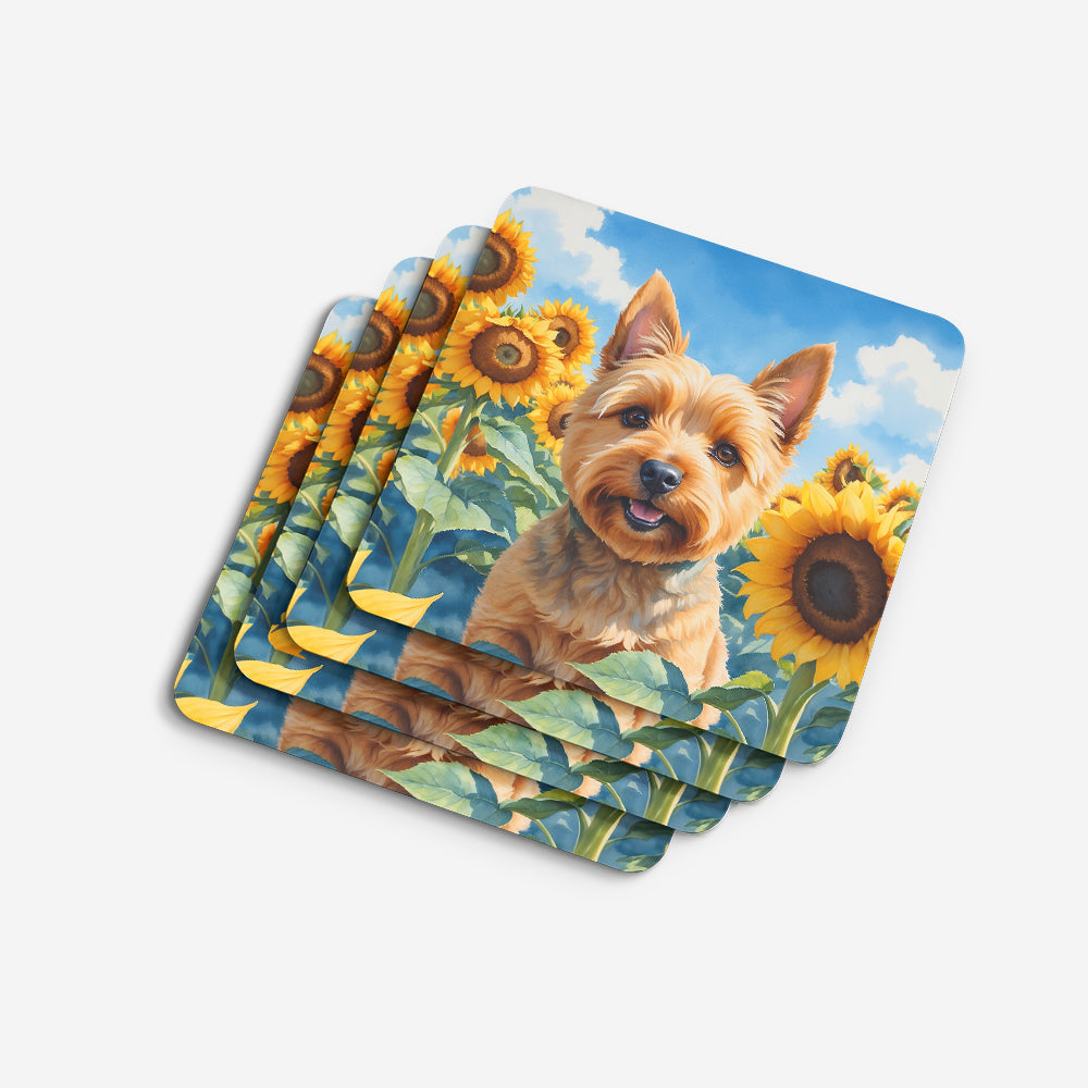 Norwich Terrier in Sunflowers Foam Coasters