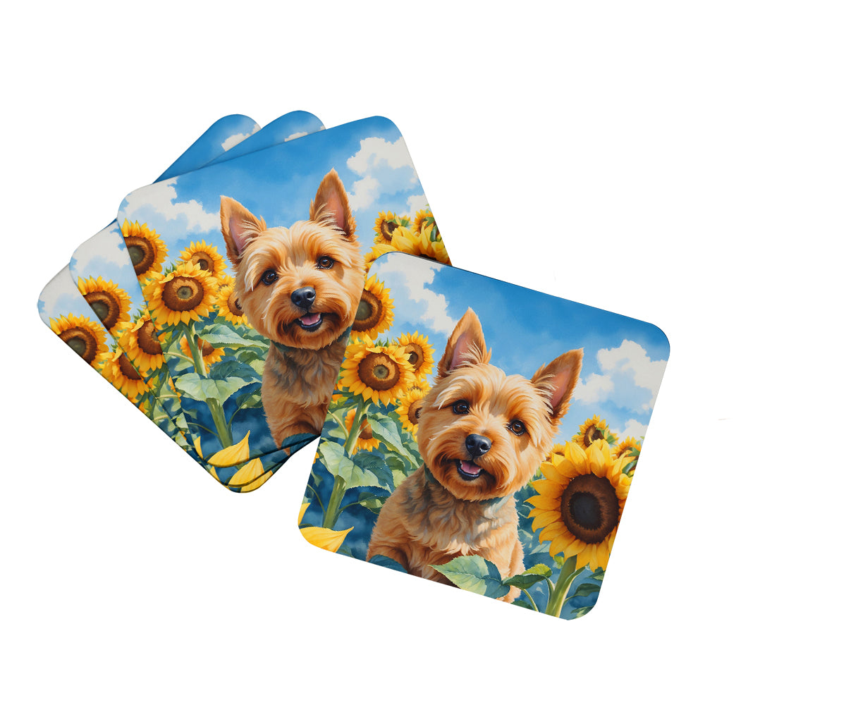 Buy this Norwich Terrier in Sunflowers Foam Coasters