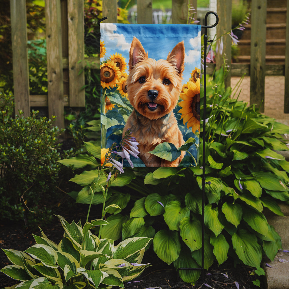 Norwich Terrier in Sunflowers Garden Flag