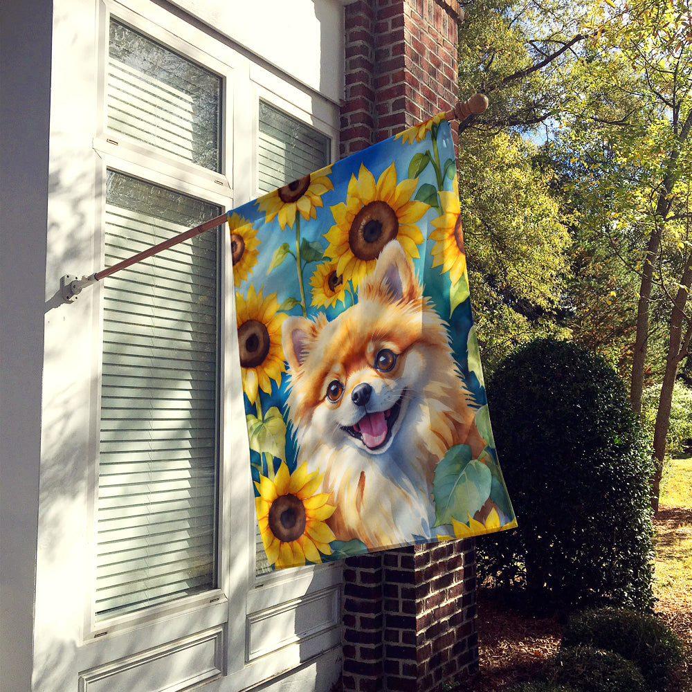 Pomeranian in Sunflowers House Flag