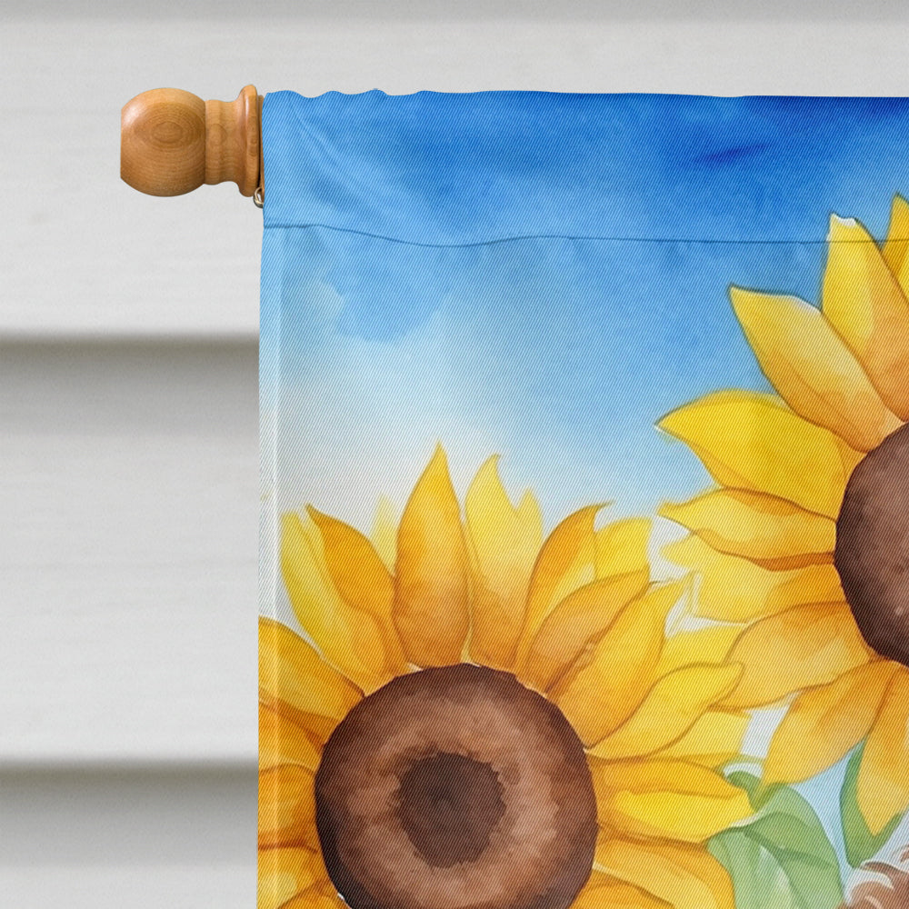 Chocolate Poodle in Sunflowers House Flag