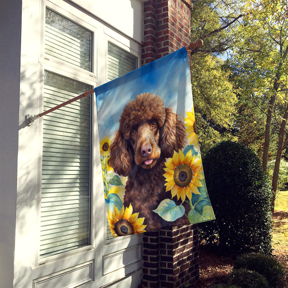 Chocolate Poodle in Sunflowers House Flag