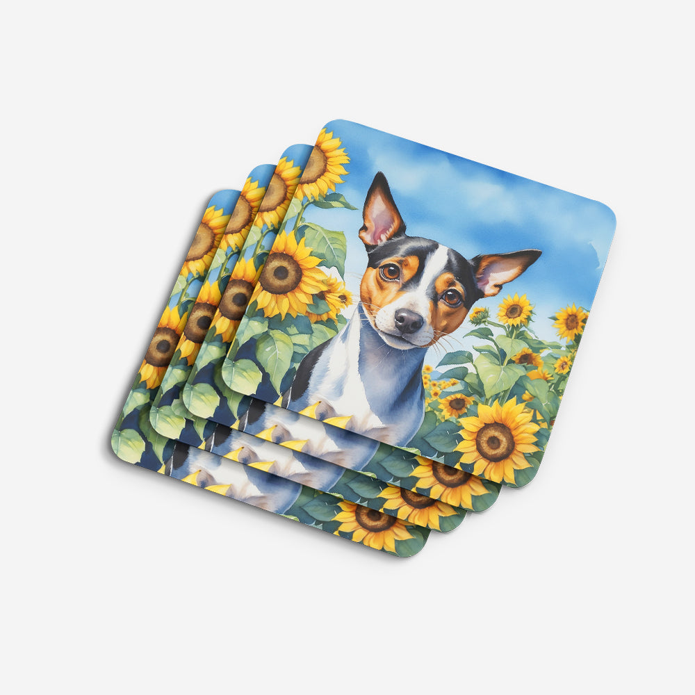 Rat Terrier in Sunflowers Foam Coasters