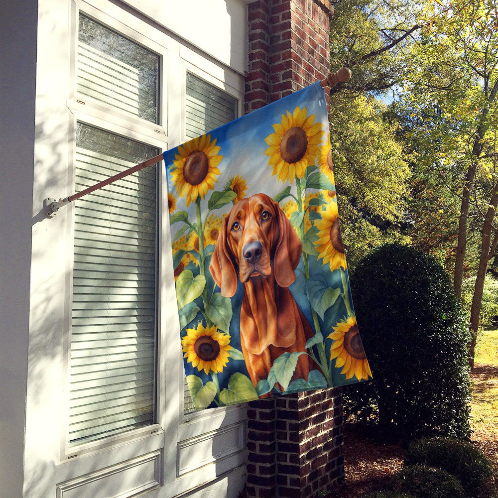 Redbone Coonhound in Sunflowers House Flag