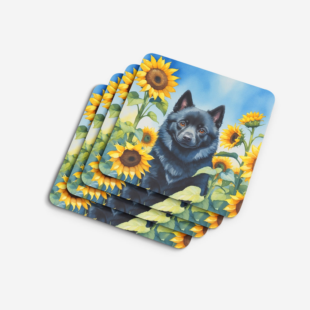 Schipperke in Sunflowers Foam Coasters