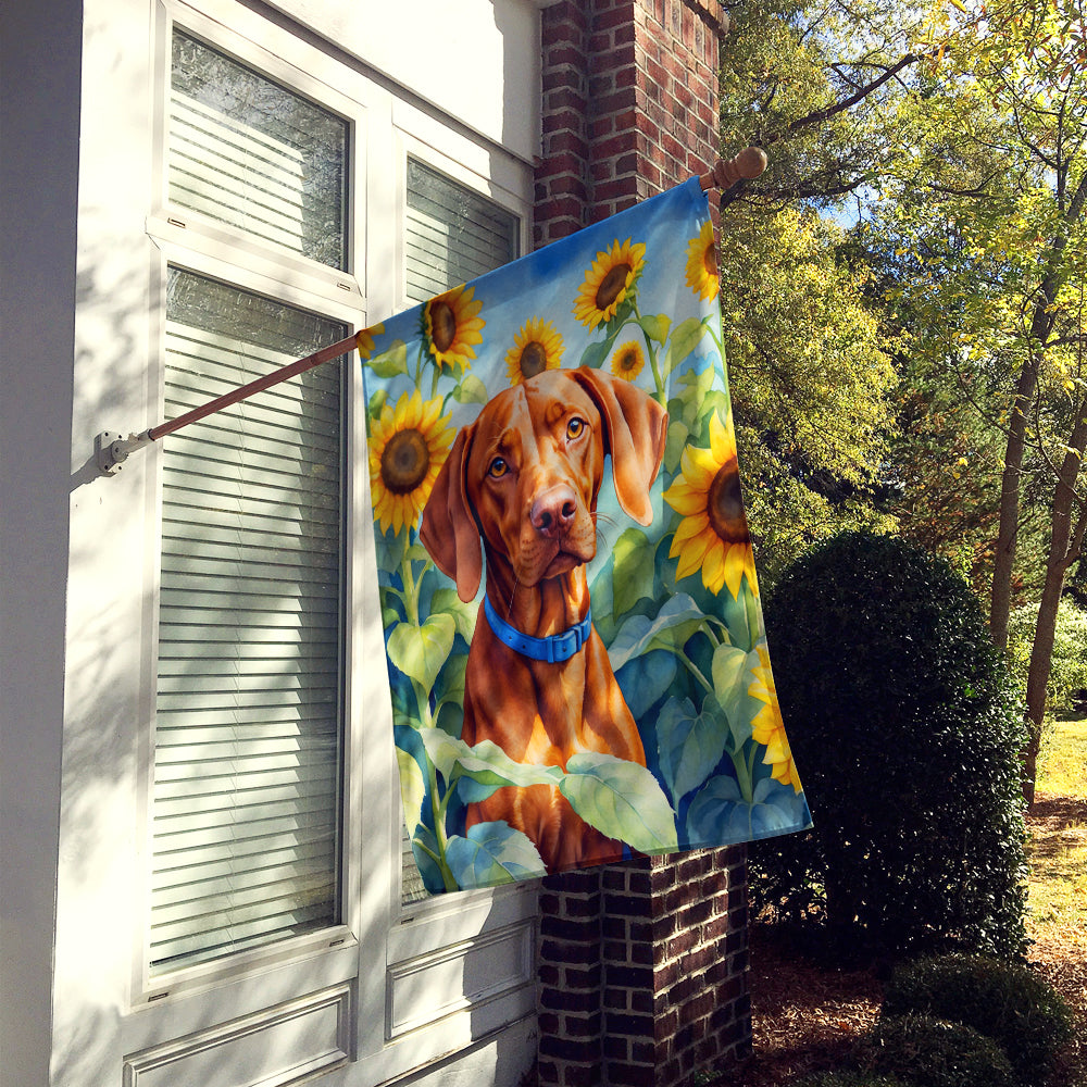 Buy this Vizsla in Sunflowers House Flag