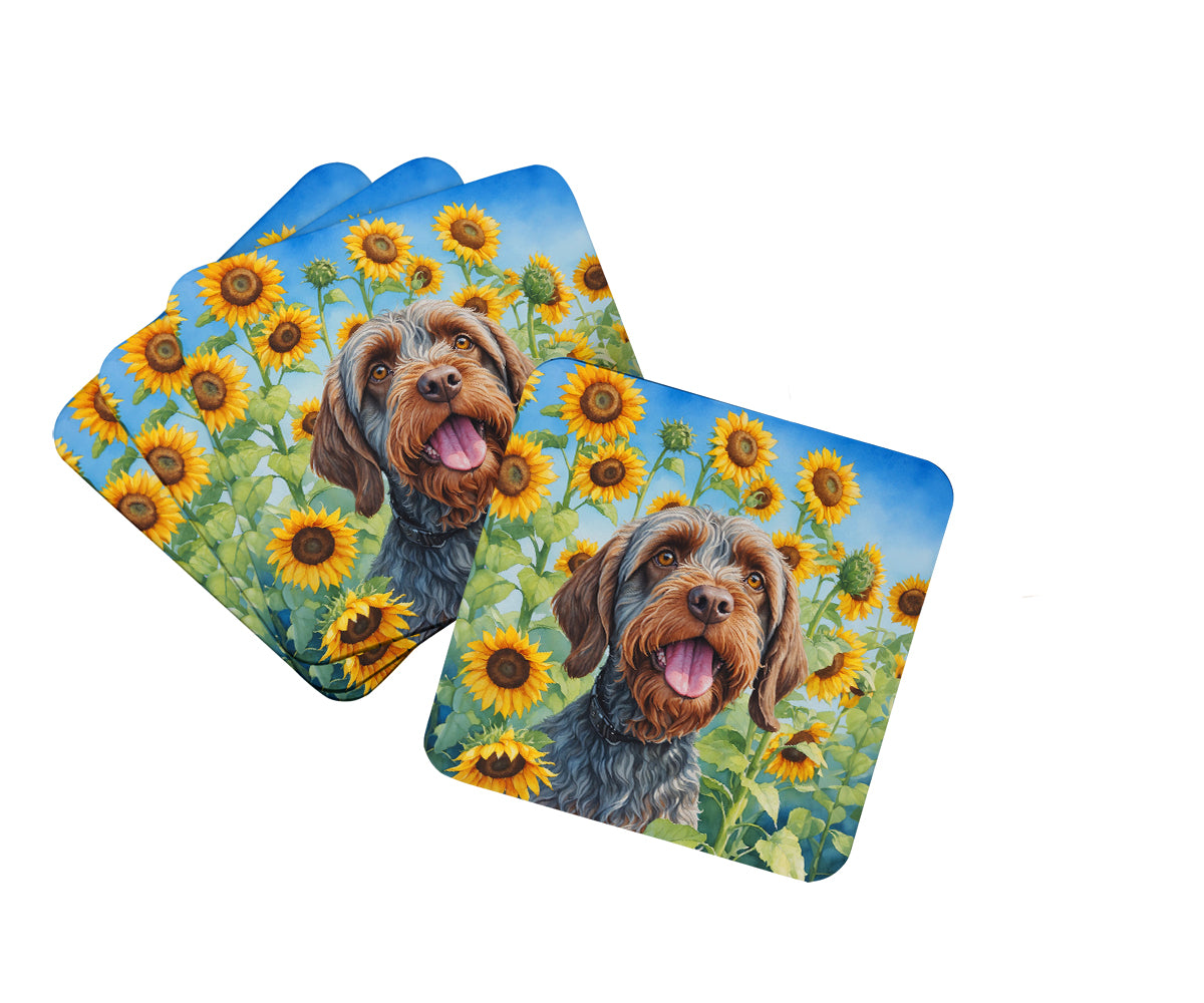 Buy this Wirehaired Pointing Griffon in Sunflowers Foam Coasters