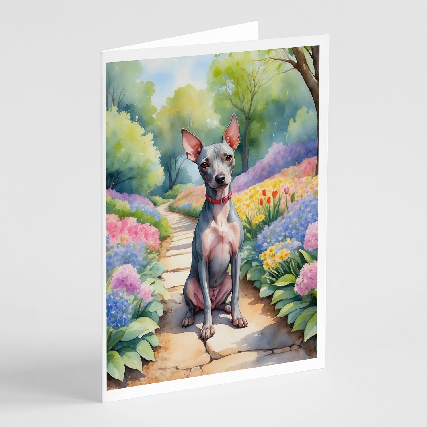 Buy this American Hairless Terrier Spring Garden Greeting Cards Pack of 8