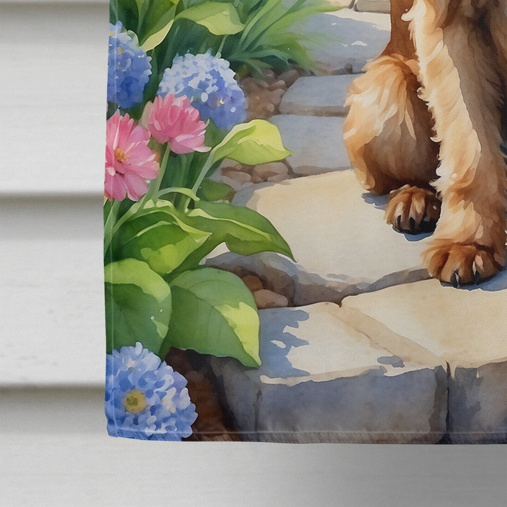 Brussels Griffon Spring Path House Flag