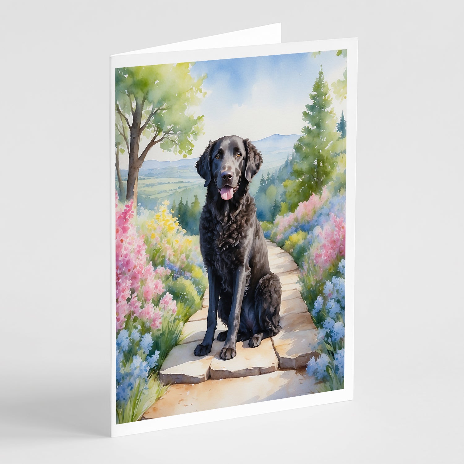 Buy this Curly-Coated Retriever Spring Path Greeting Cards Pack of 8