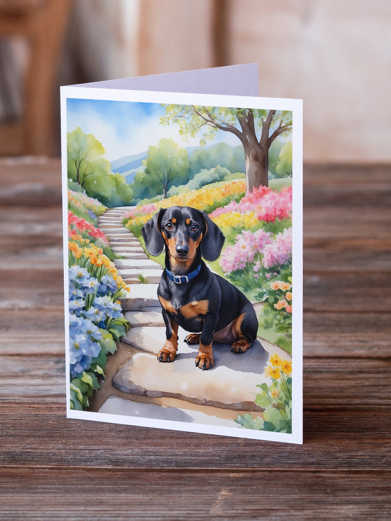 Dachshund Spring Path Greeting Cards Pack of 8