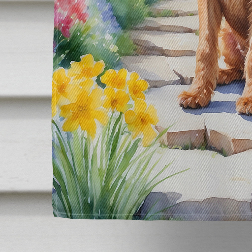 Irish Terrier Spring Path House Flag