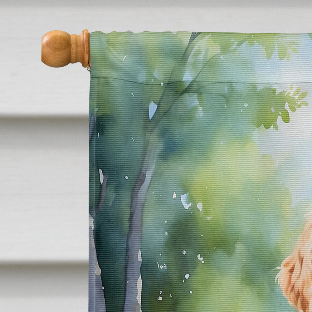 Labradoodle Spring Path House Flag