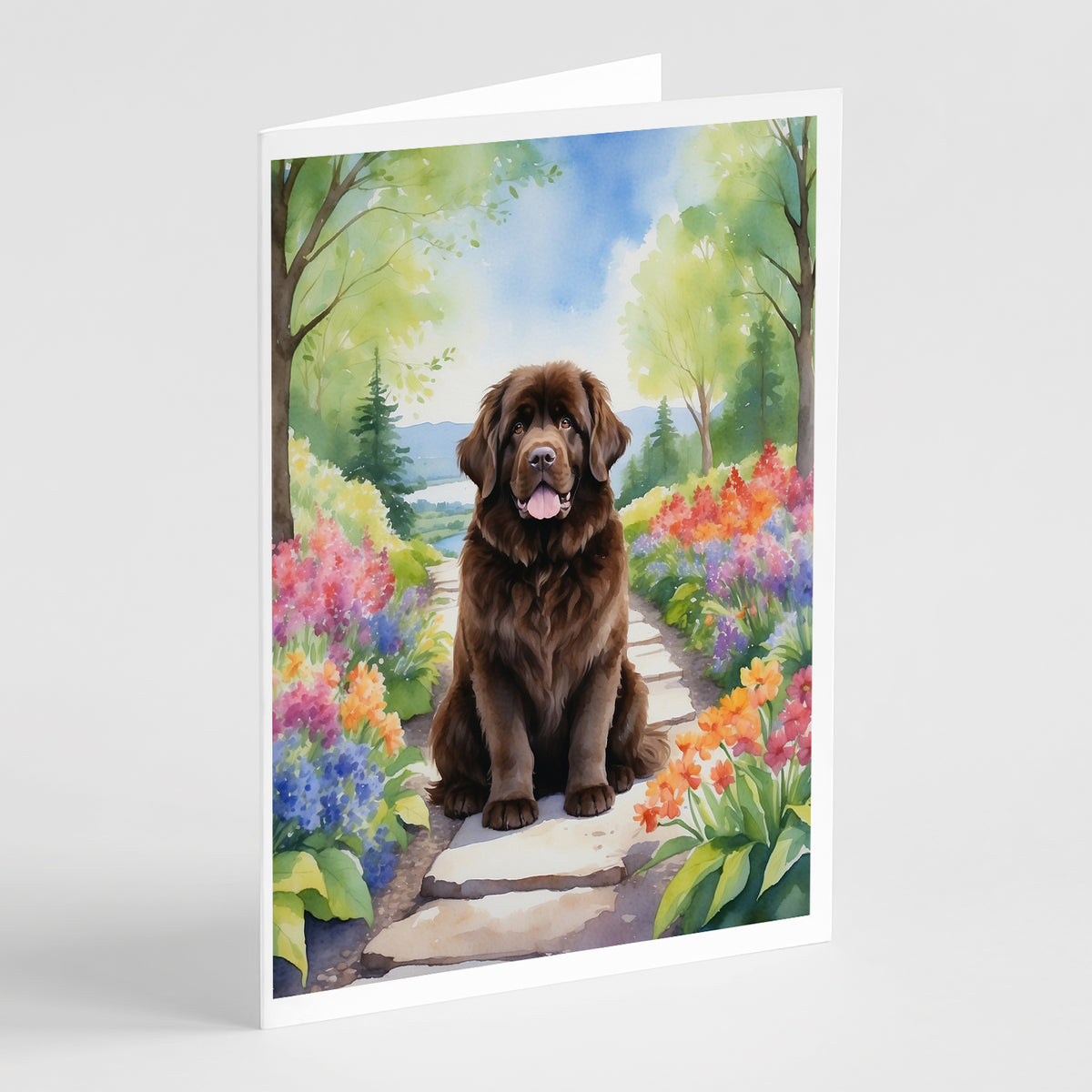 Buy this Newfoundland Spring Path Greeting Cards Pack of 8