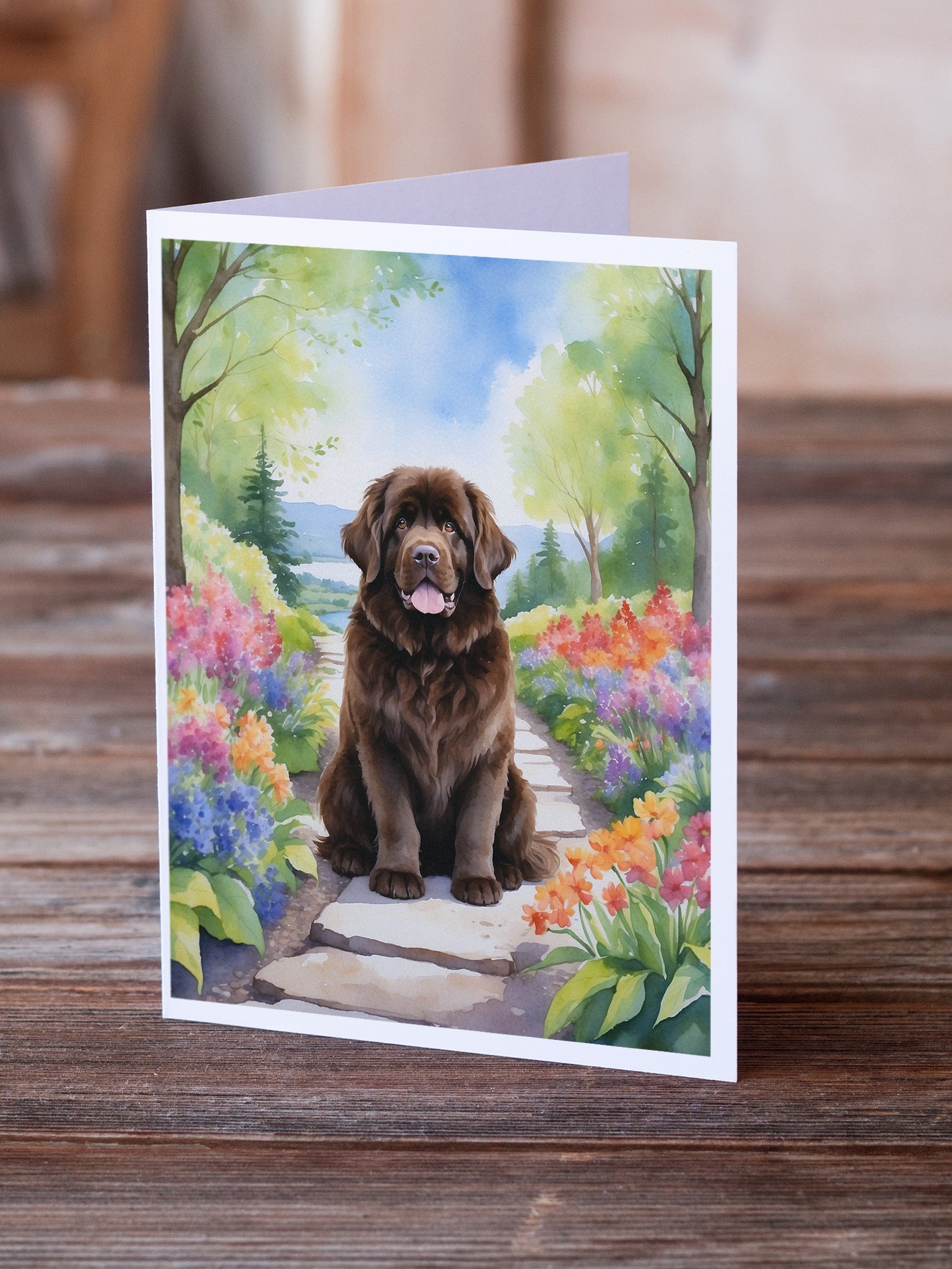 Newfoundland Spring Path Greeting Cards Pack of 8