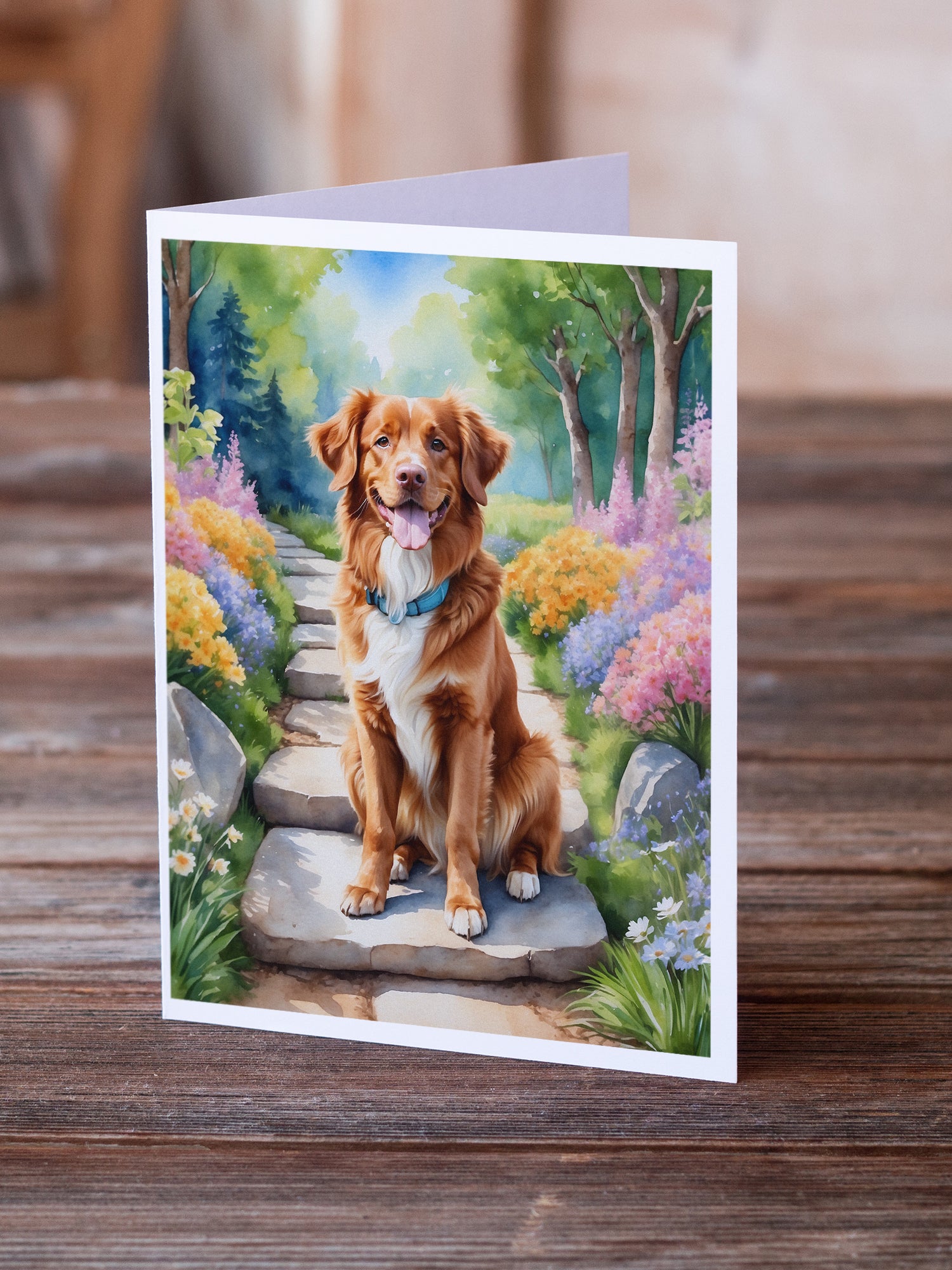 Buy this Nova Scotia Duck Tolling Retriever Spring Path Greeting Cards Pack of 8