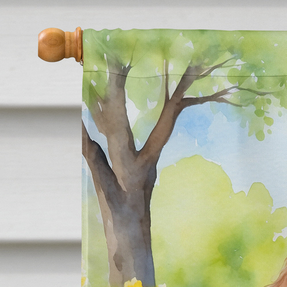Chocolate Poodle Spring Path House Flag