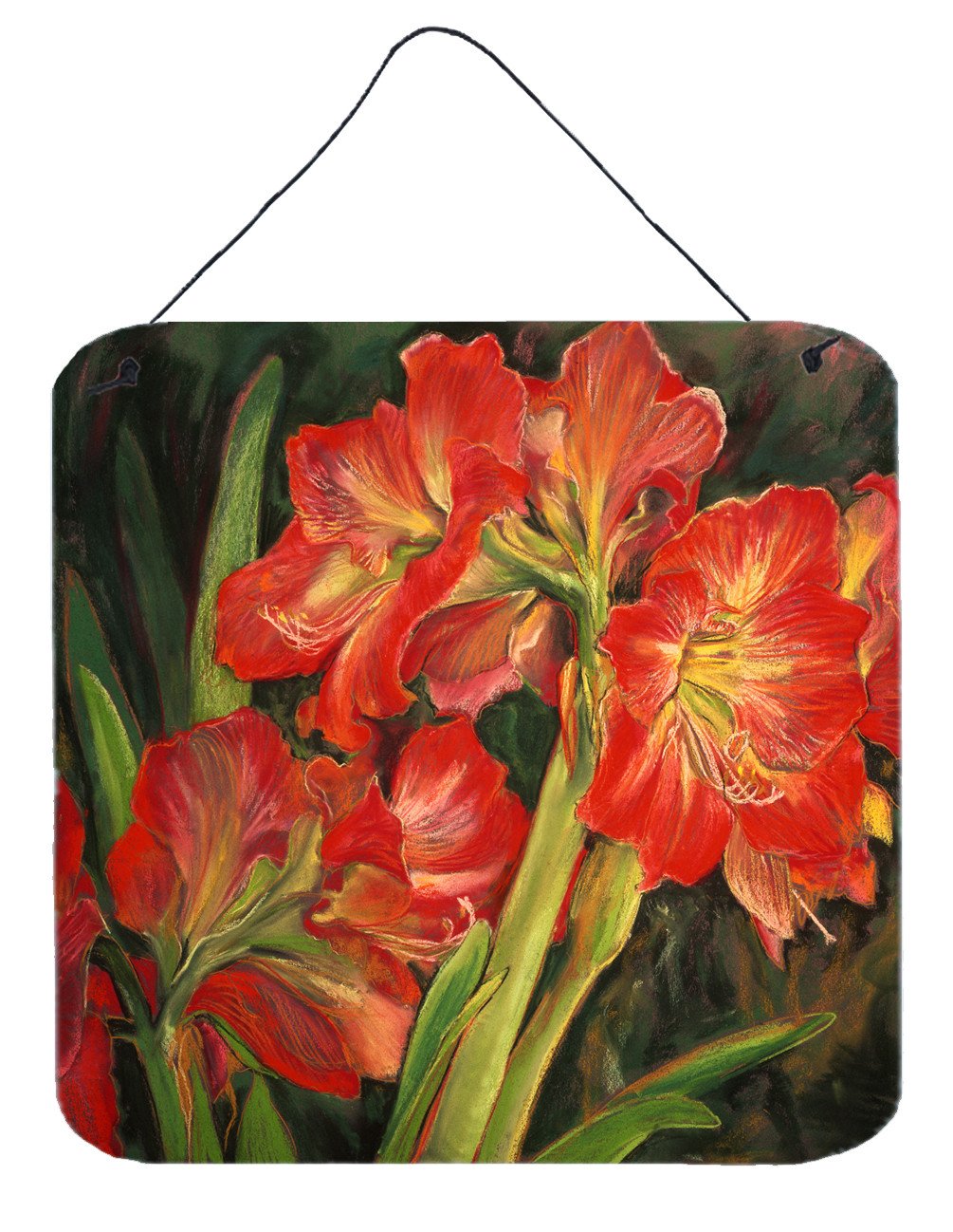 Amaryllis by Neil Drury Wall or Door Hanging Prints DND0091DS66 by Caroline&#39;s Treasures