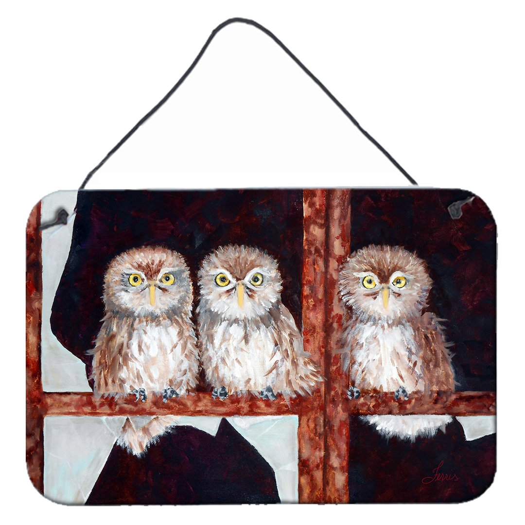 Buy this Owls by Ferris Hotard Wall or Door Hanging Prints