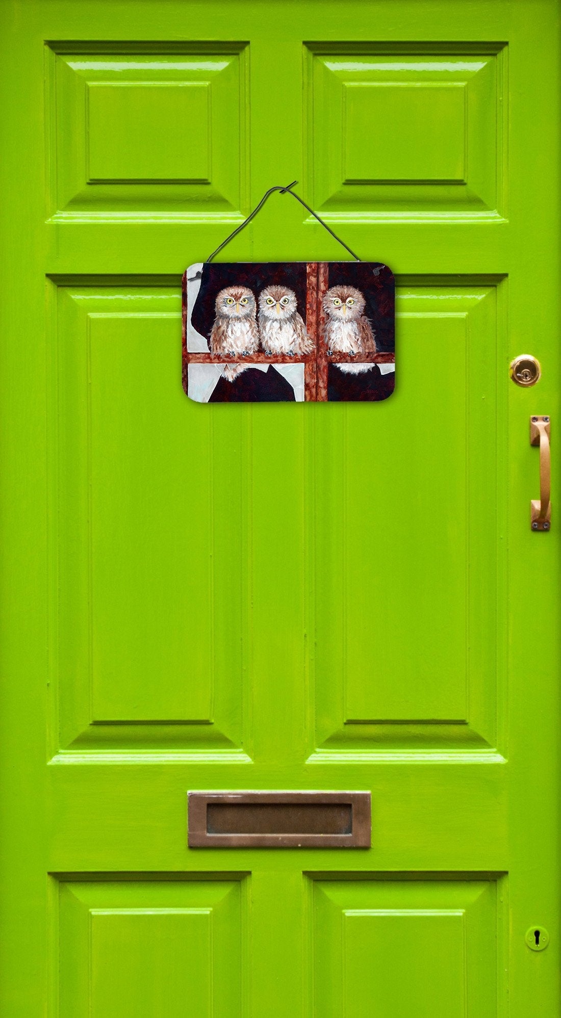 Owls by Ferris Hotard Wall or Door Hanging Prints - the-store.com
