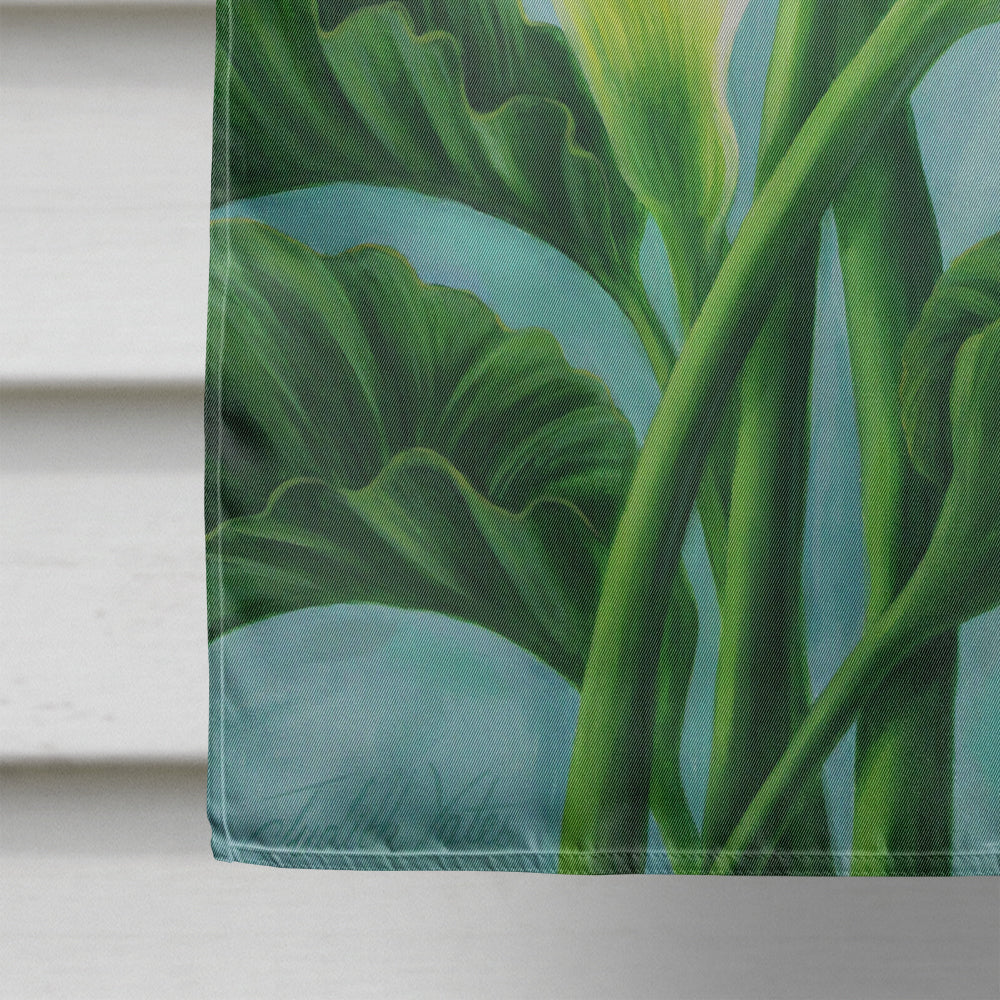 Arum Lilly by Judith Yates Flag Canvas House Size JYJ0070CHF  the-store.com.