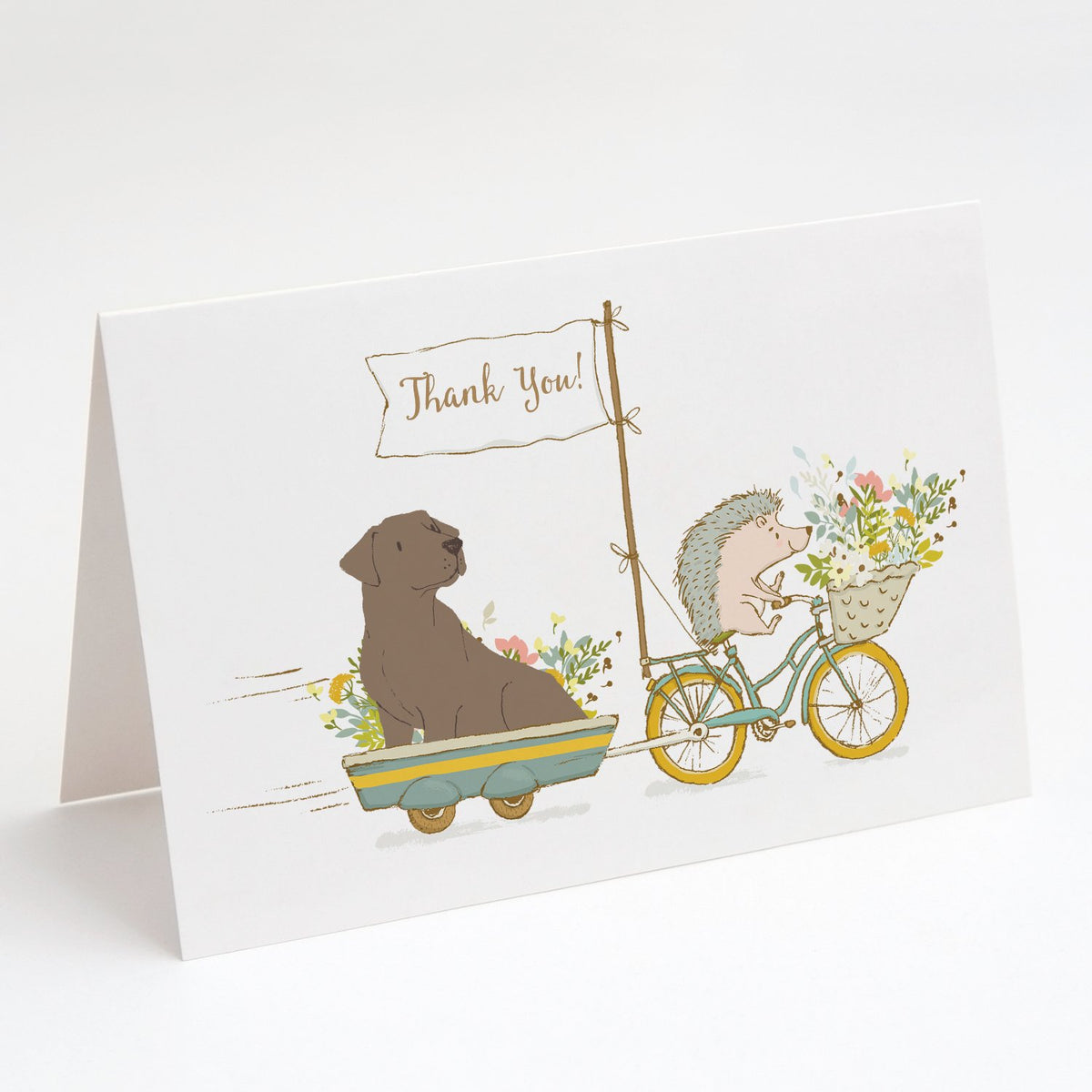 Buy this Labrador Retriever Chocolate Greeting Cards and Envelopes Pack of 8