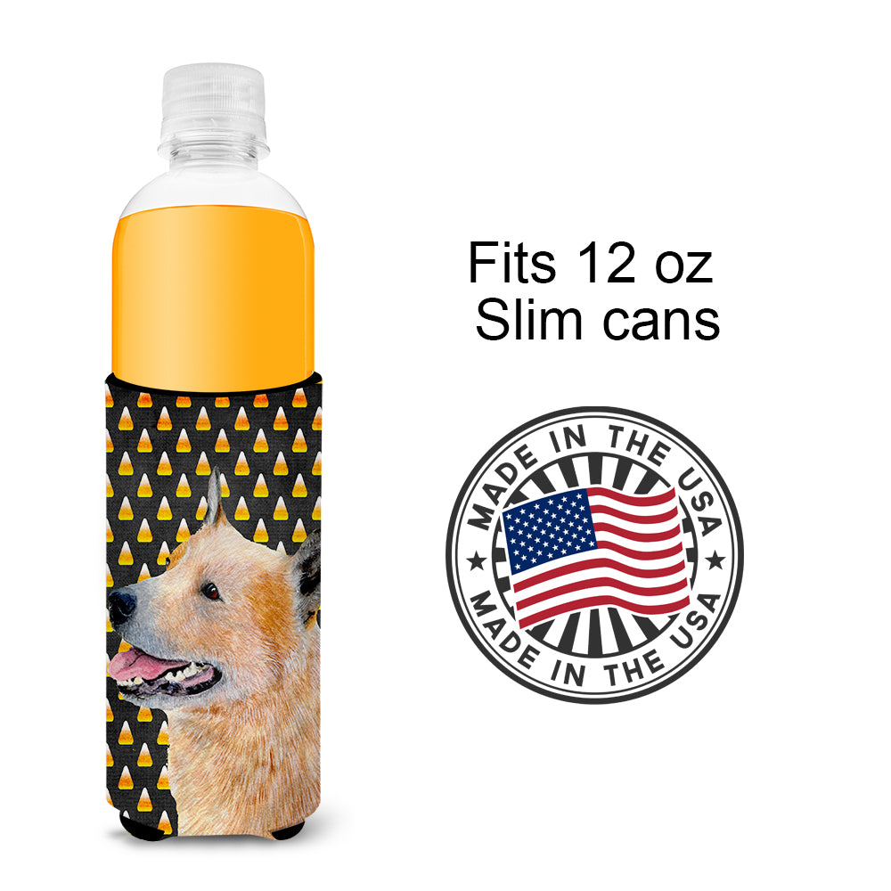 Australian Cattle Dog Candy Corn Halloween Portrait Ultra Beverage Insulators for slim cans LH9058MUK.