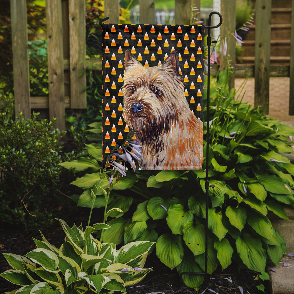 Cairn Terrier Bonbons Maïs Halloween Portrait Drapeau Taille Jardin