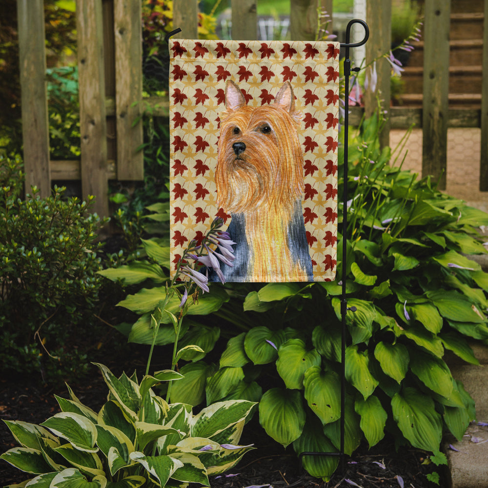 Silky Terrier Automne Feuilles Portrait Drapeau Jardin Taille