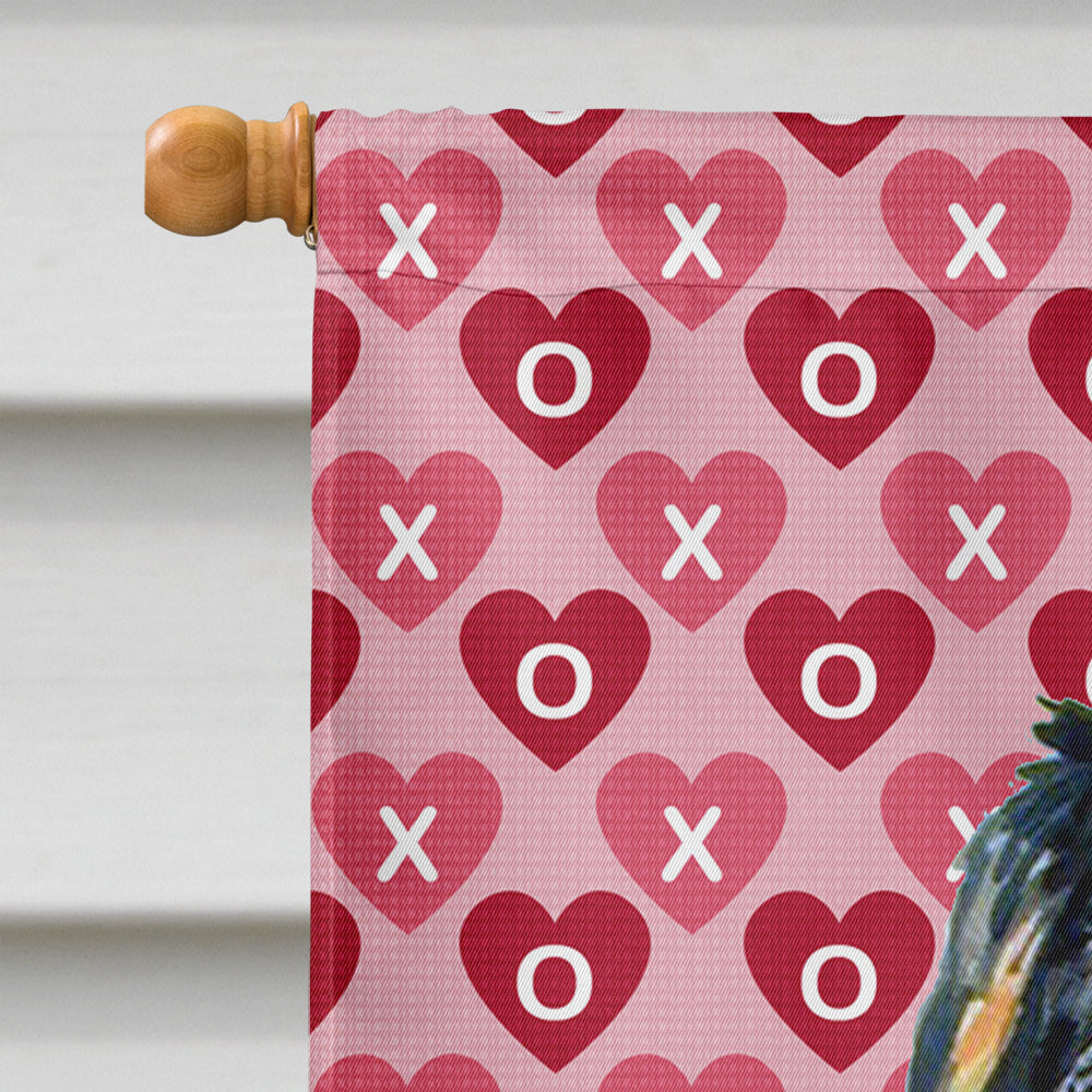 Bernese Mountain Dog Hearts Love and Valentine's Day  Flag Canvas House Size