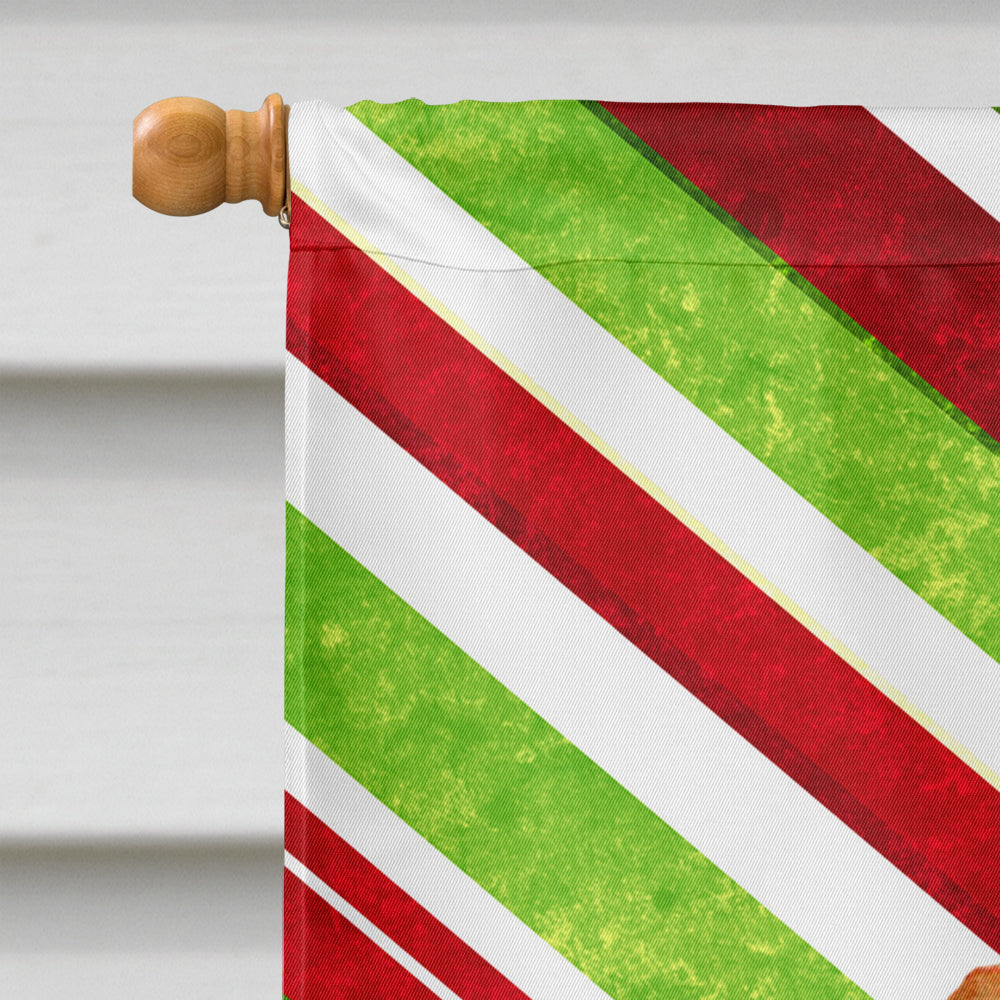 Dachshund Candy Cane Holiday Christmas  Flag Canvas House Size