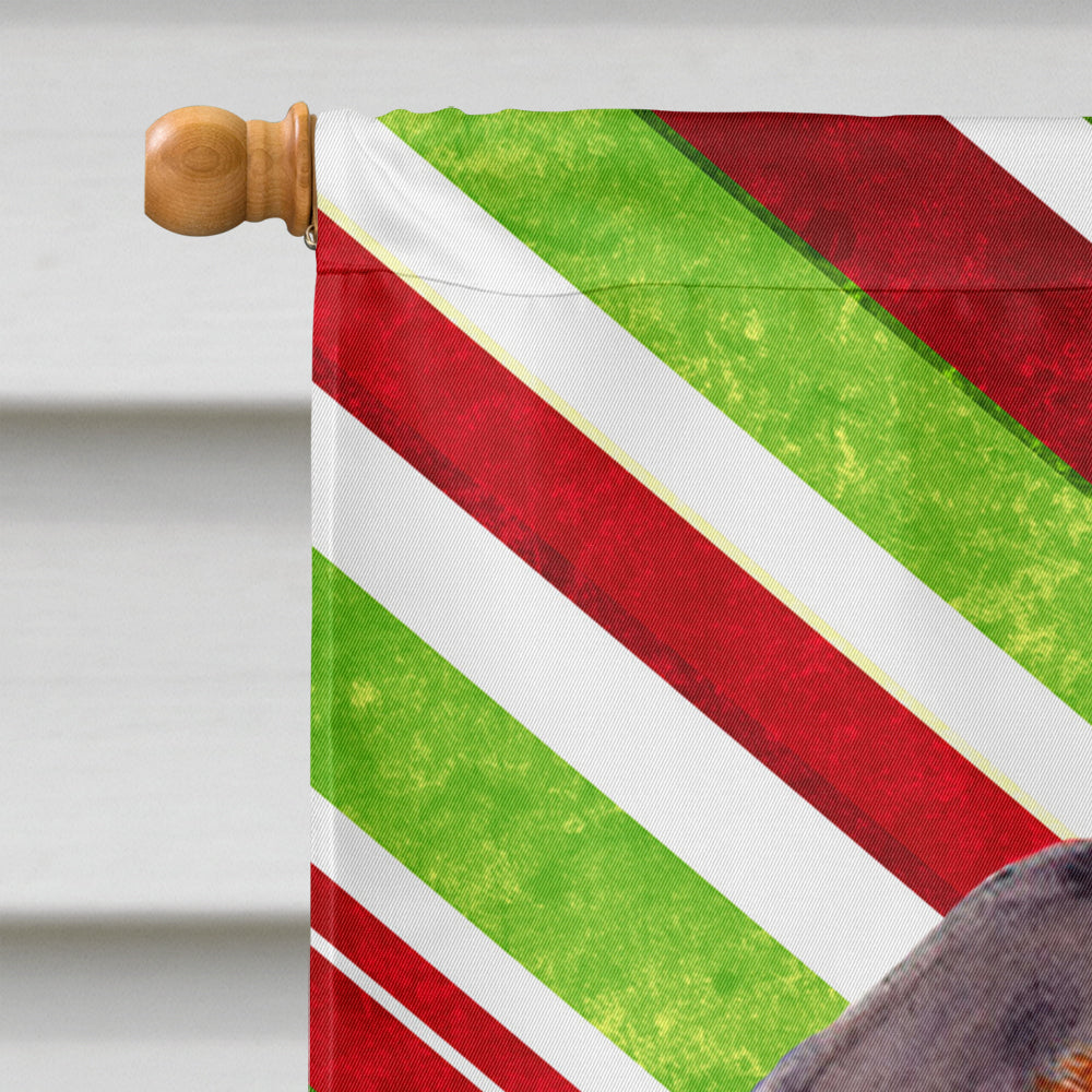 Dachshund Candy Cane Holiday Christmas  Flag Canvas House Size  the-store.com.