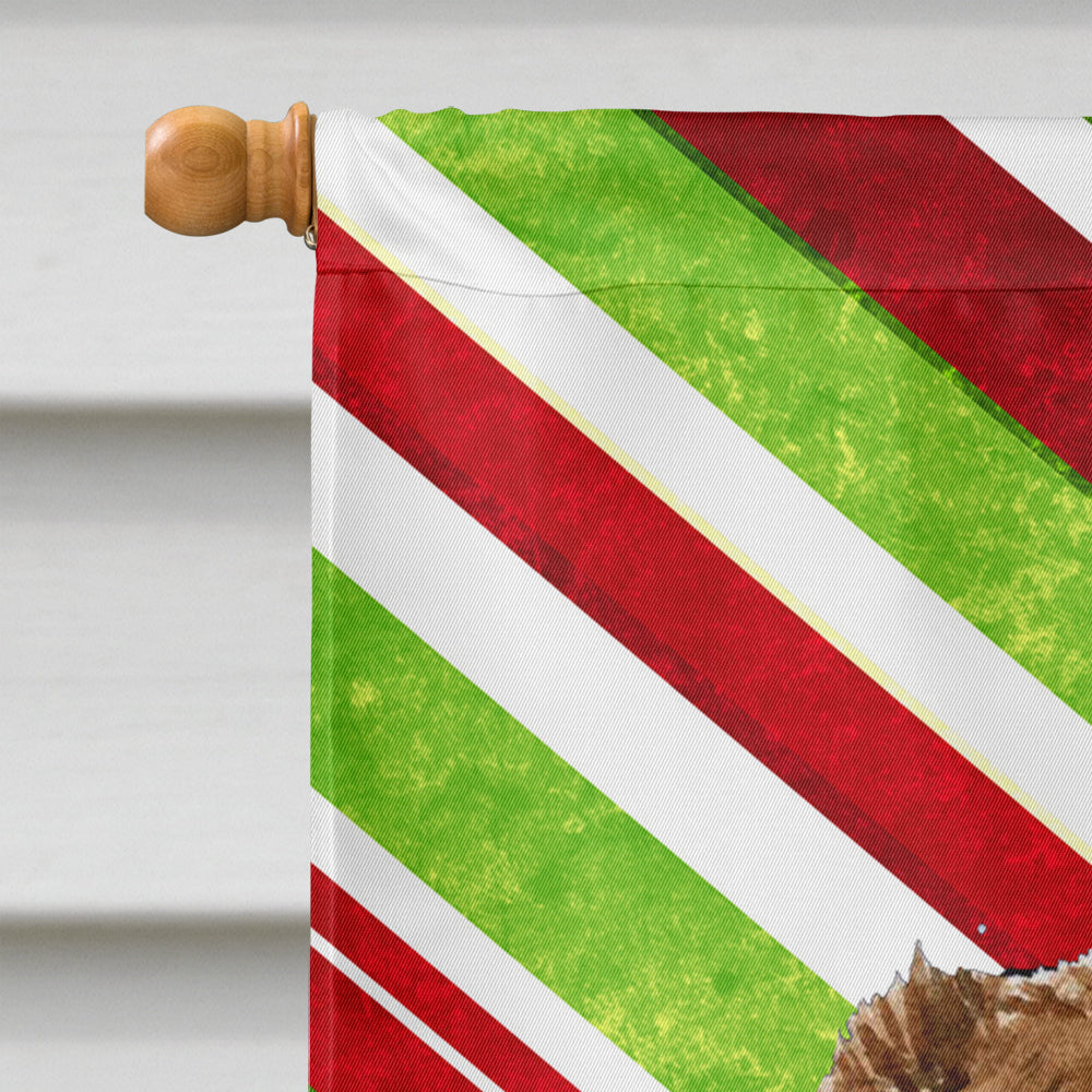 Drapeau de Noël de vacances de canne de sucrerie de berger australien taille de maison de toile