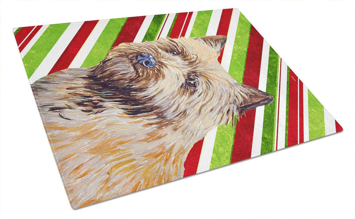 Cairn Terrier Candy Cane Holiday Christmas Glass Cutting Board Large by Caroline&#39;s Treasures
