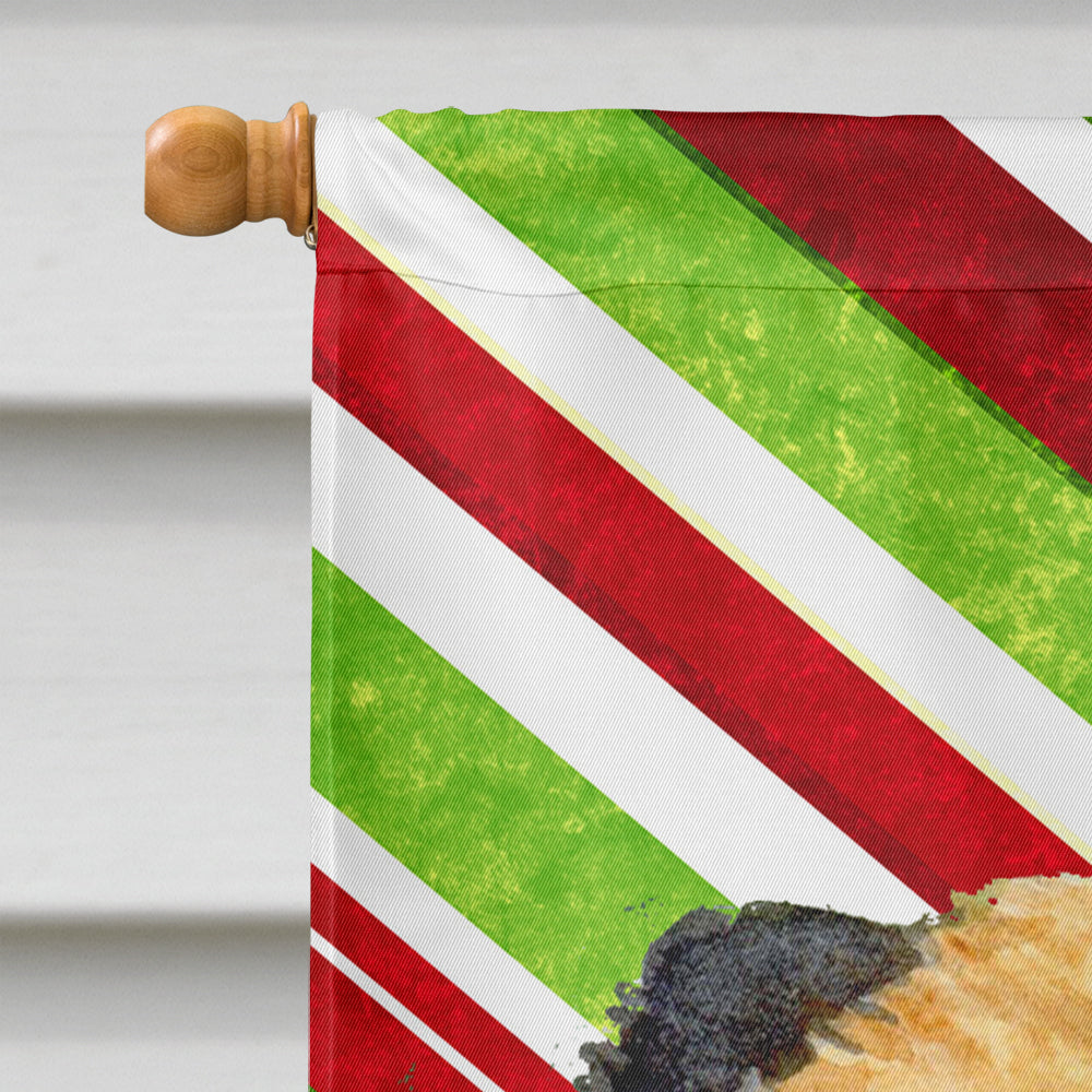 Border Terrier Candy Cane Holiday Christmas  Flag Canvas House Size