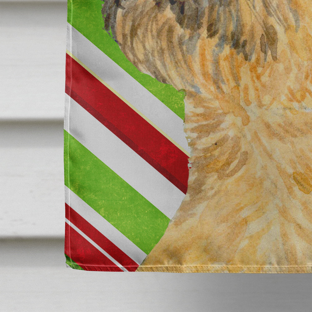 Border Terrier Candy Cane Holiday Christmas  Flag Canvas House Size