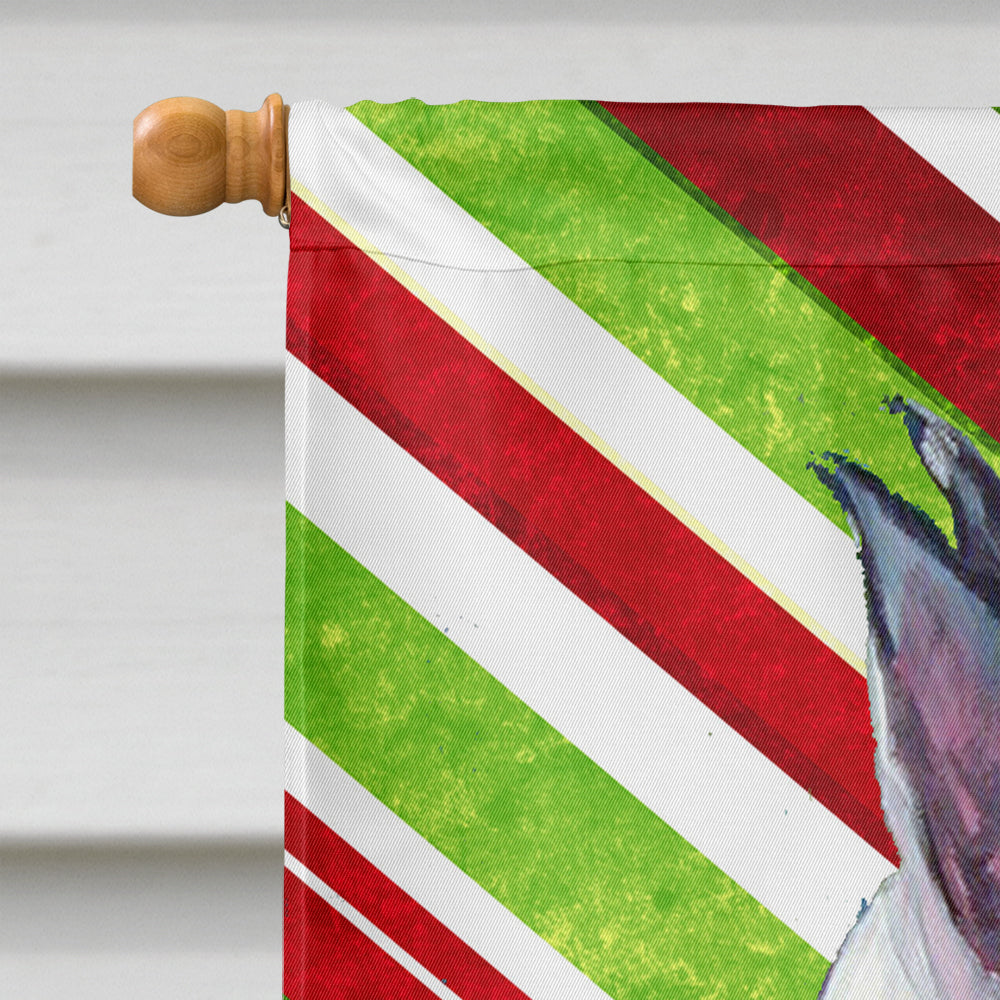 Great Dane Candy Cane Holiday Christmas Flag Toile Taille de la maison