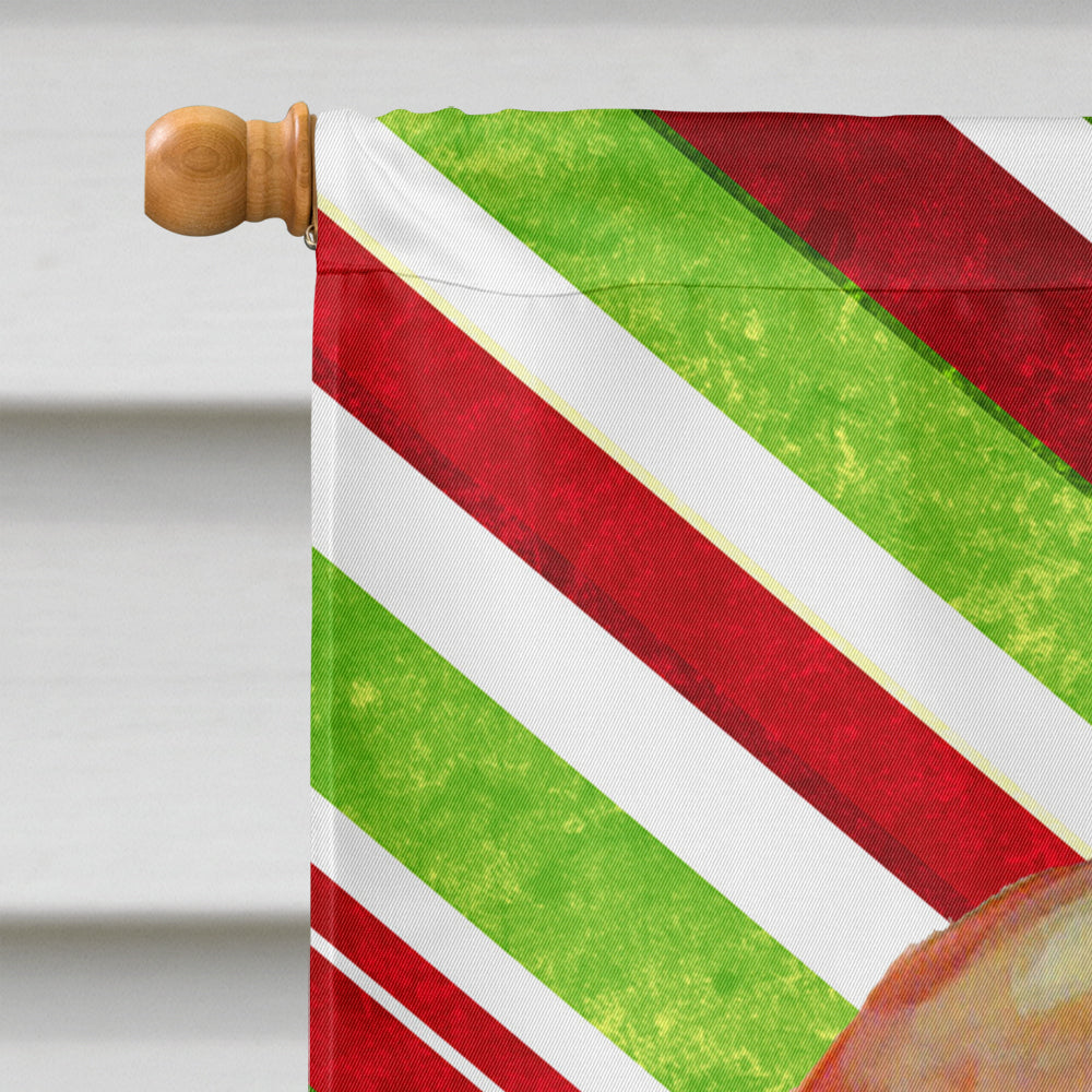 Basset Hound Candy Cane Holiday Christmas  Flag Canvas House Size