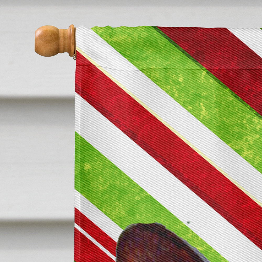 Corgi Candy Cane Holiday Christmas  Flag Canvas House Size  the-store.com.