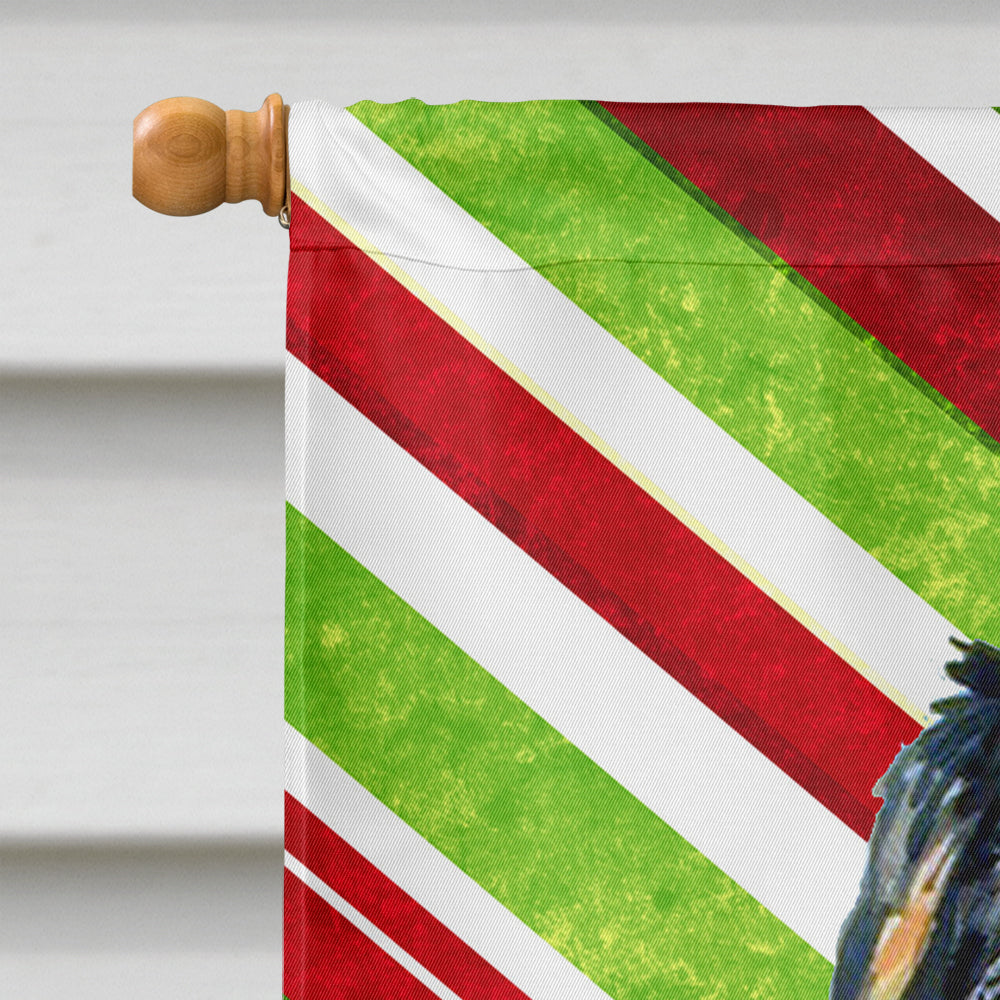 Bernese Mountain Dog Candy Cane Holiday Christmas  Flag Canvas House Size  the-store.com.