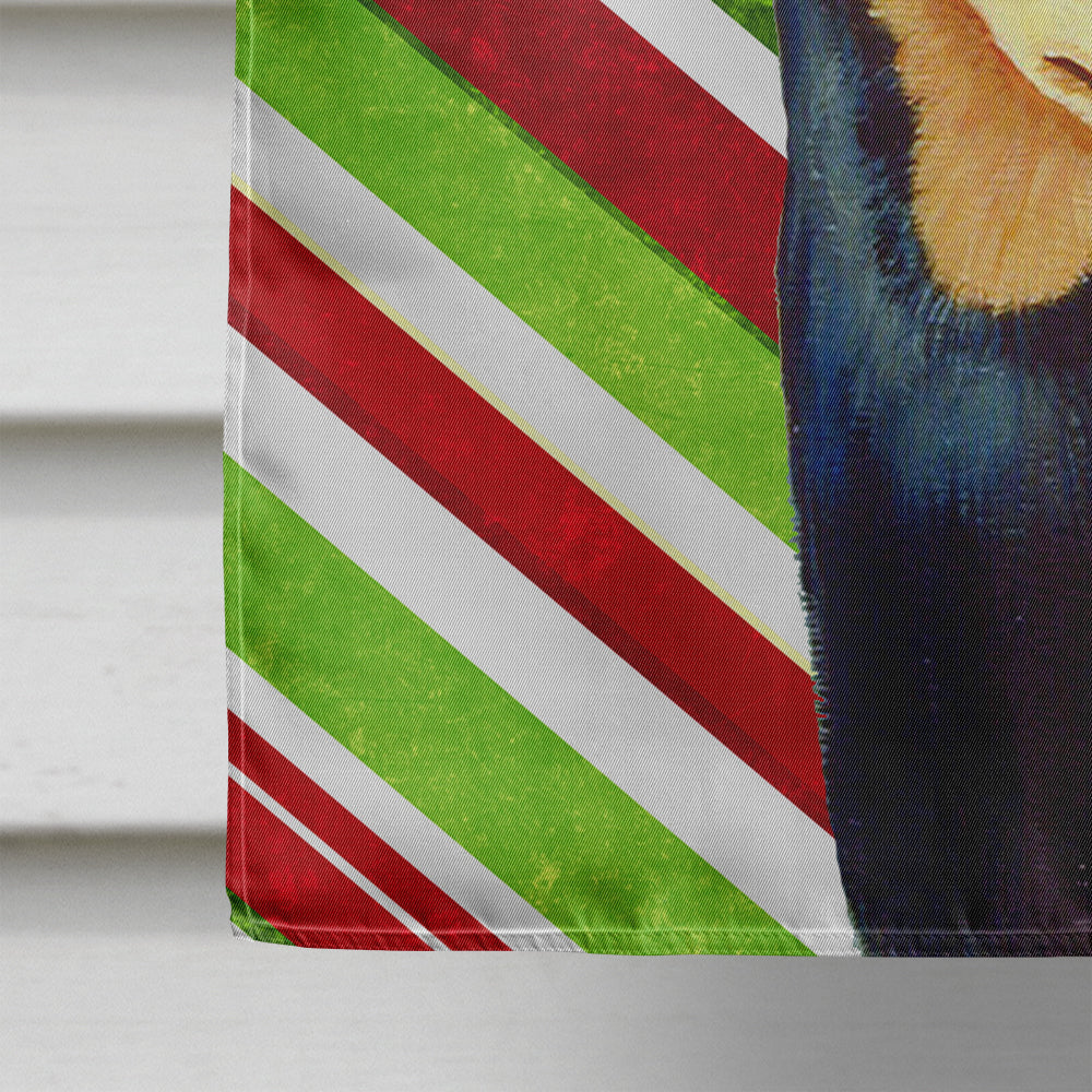 Min Pin Candy Cane Holiday Christmas  Flag Canvas House Size  the-store.com.