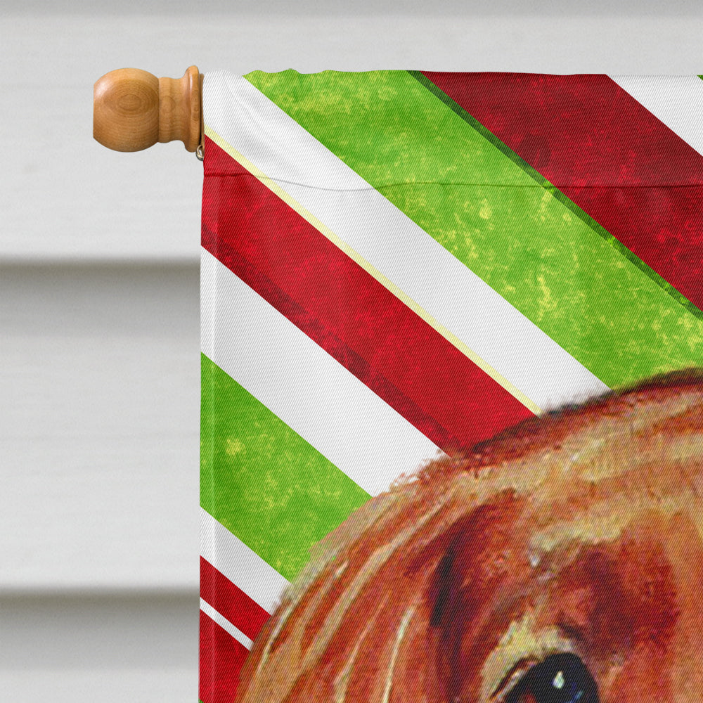 Irish Setter Candy Cane Holiday Christmas  Flag Canvas House Size  the-store.com.