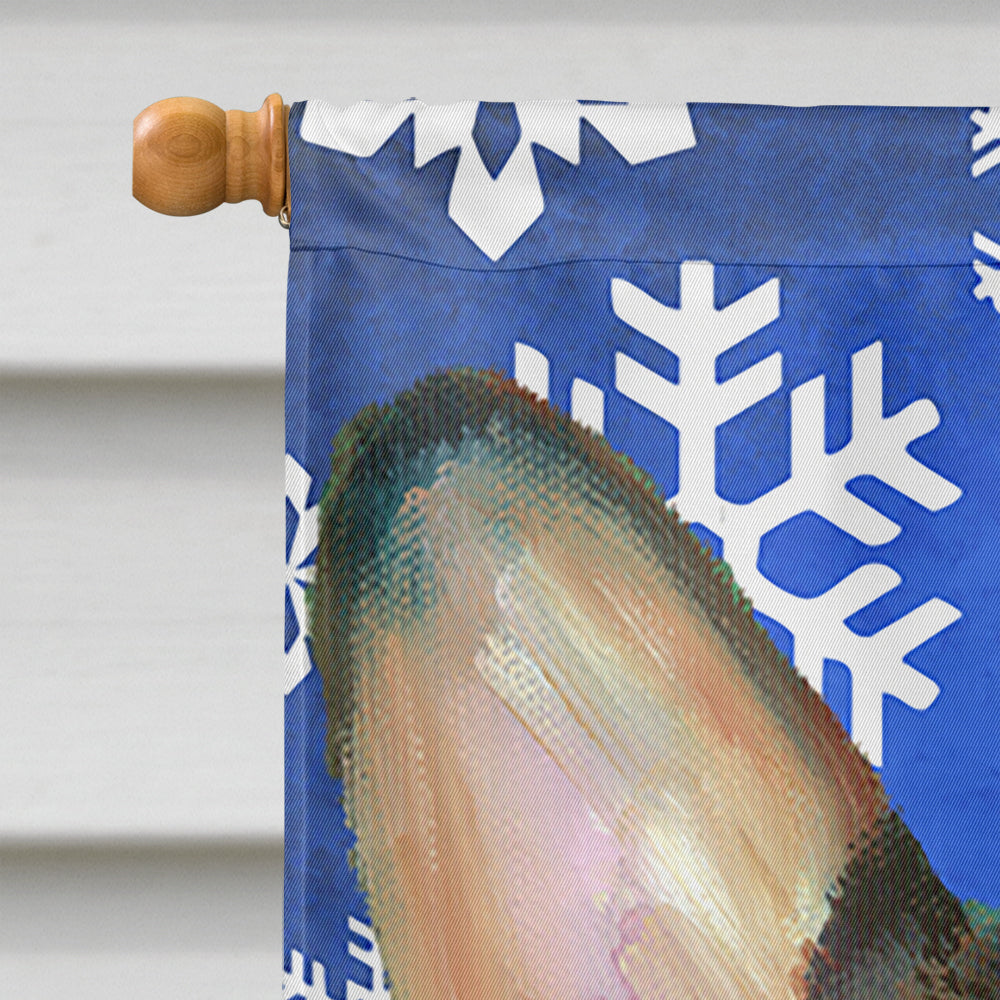 Corgi Winter Snowflakes Holiday Flag Canvas House Size LH9588CHF