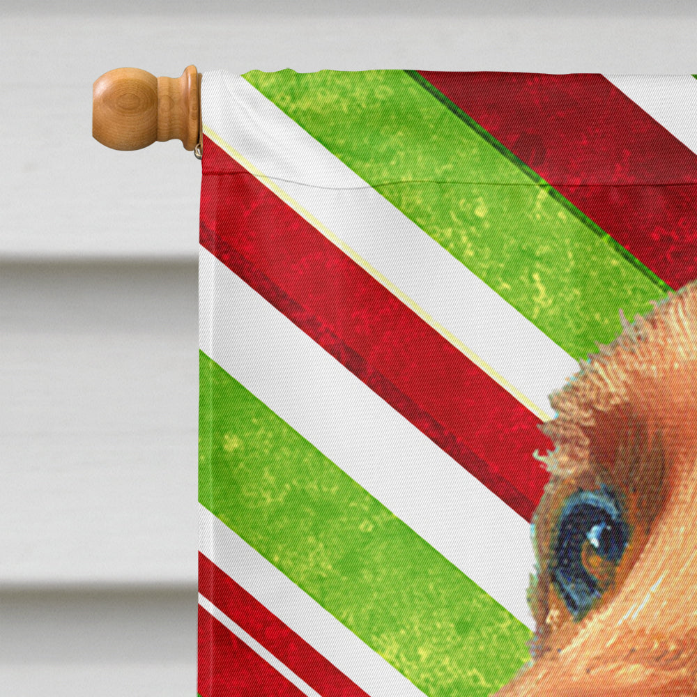 Irish Setter Candy Cane Holiday Christmas Flag Canvas House Size LH9590CHF