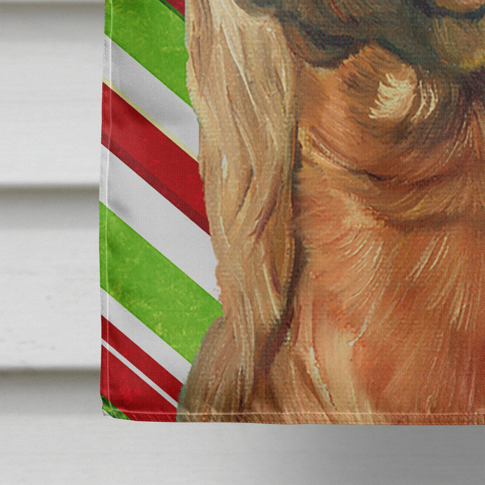 Irish Setter Candy Cane Holiday Christmas Flag Canvas House Size LH9590CHF