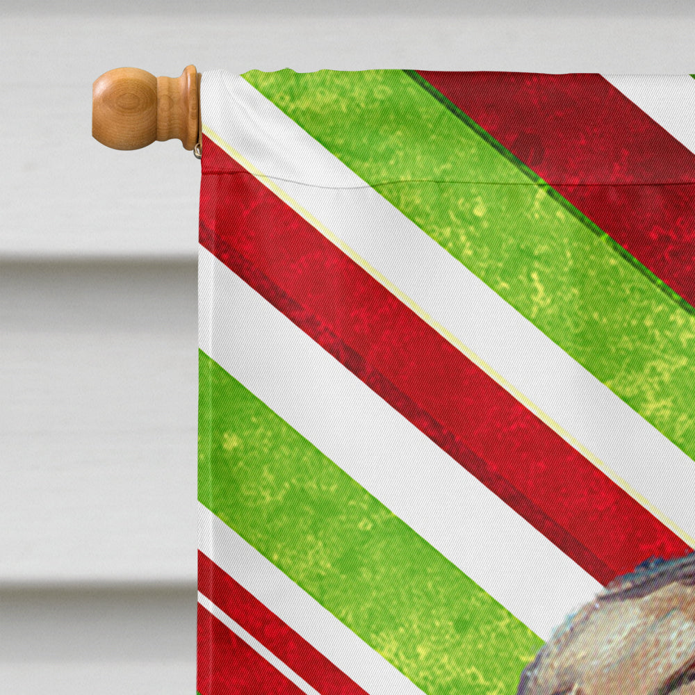 French Bulldog Frenchie Candy Cane Holiday Christmas Flag Canvas House Size LH9594CHF